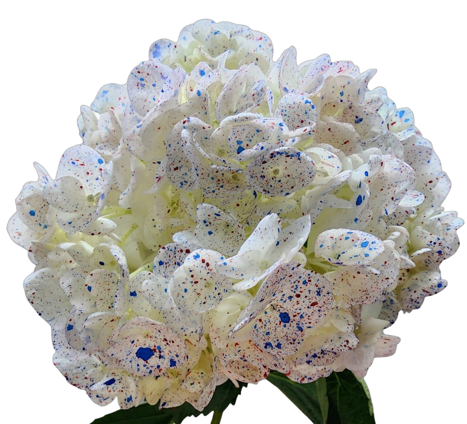 Special confetti white red blue
