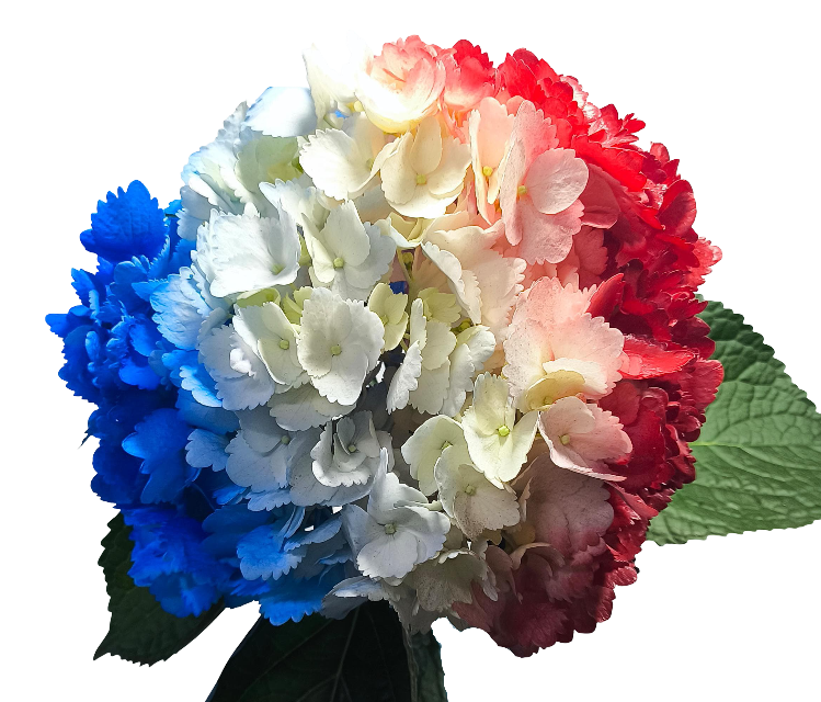 Special patriotic