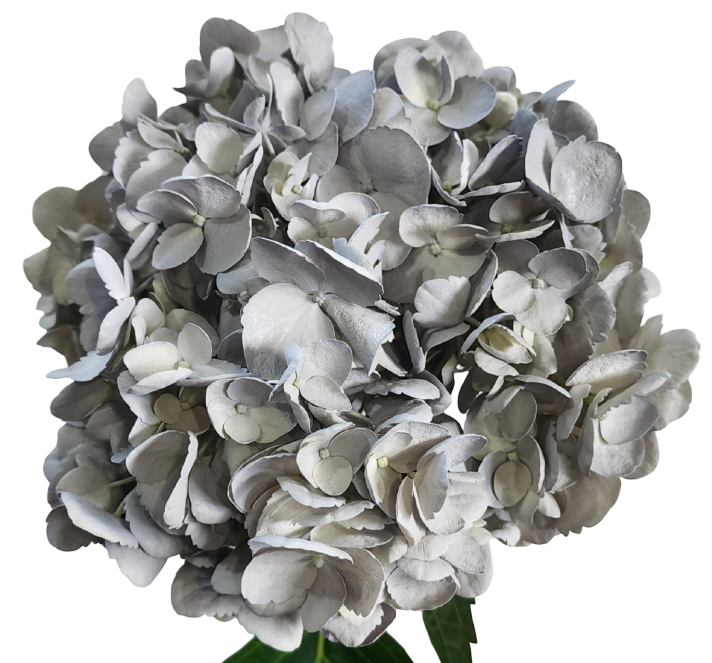 Special silver