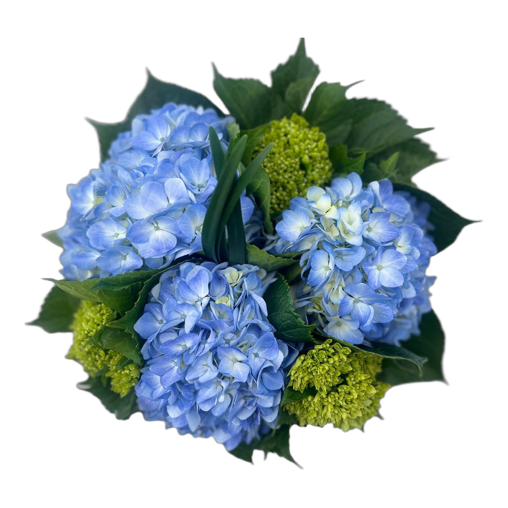 Blue hydrangea bouquet with green accents
