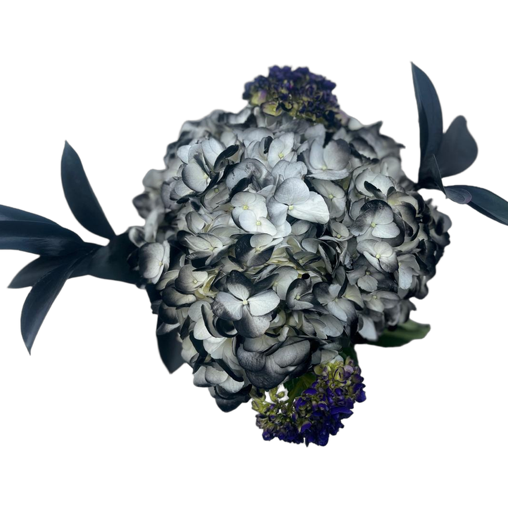 Black-tinted hydrangea Halloween bouquet