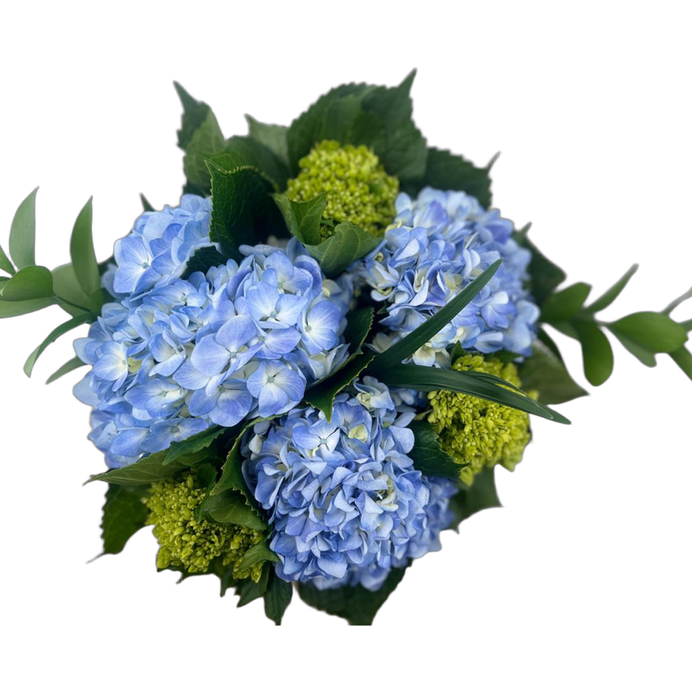 Blue hydrangea bouquet with ruscus foliage