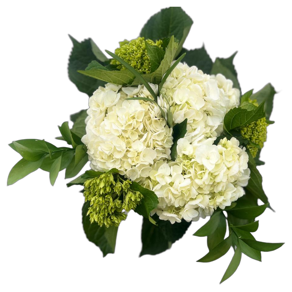 White hydrangea bouquet with ruscus foliage