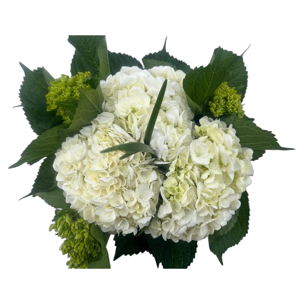 White hydrangea bouquet with green accents